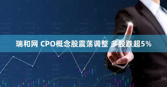 瑞和网 CPO概念股震荡调整 多股跌超5%
