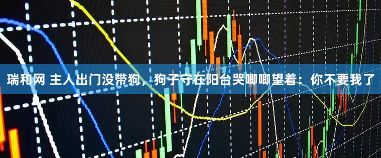 瑞和网 主人出门没带狗，狗子守在阳台哭唧唧望着：你不要我了