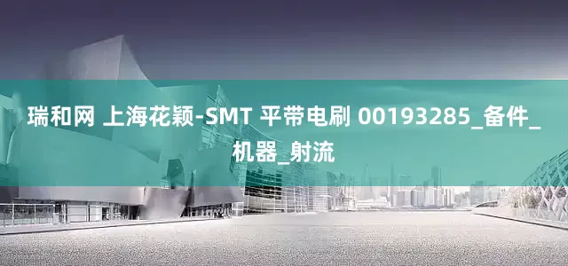 瑞和网 上海花颖-SMT 平带电刷 00193285_备件_机器_射流