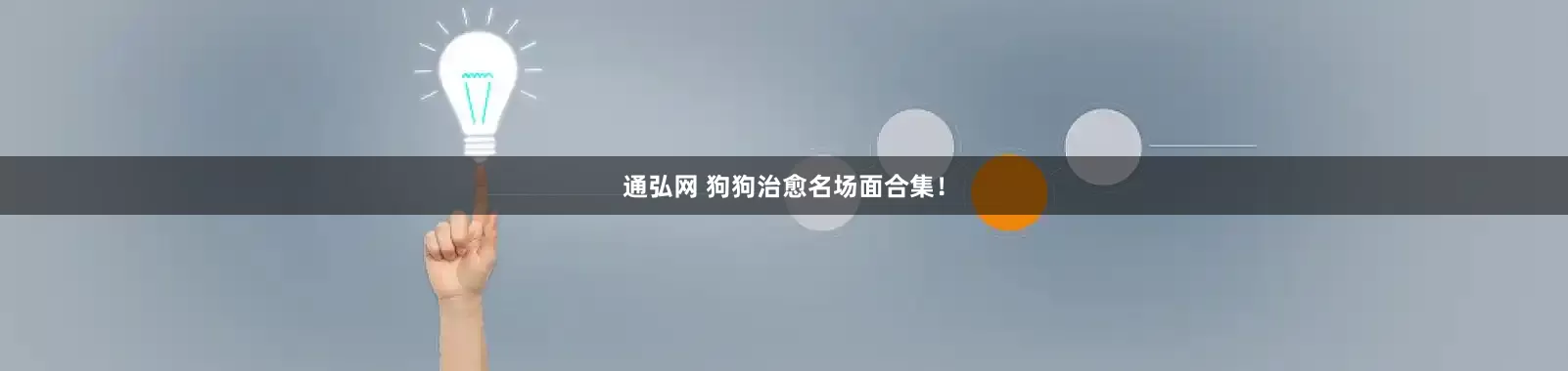 通弘网 狗狗治愈名场面合集!