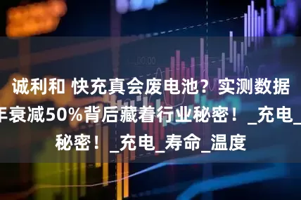 诚利和 快充真会废电池?实测数据扎心:两年衰减50%背后藏着行业秘密!_充电_寿命_温度